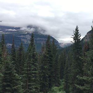 Meet your Posher, Janna